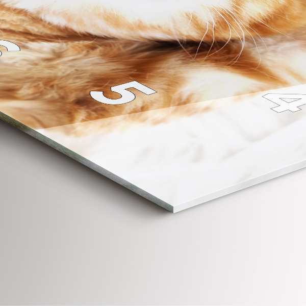 Square wall clock Sleeping little kitten