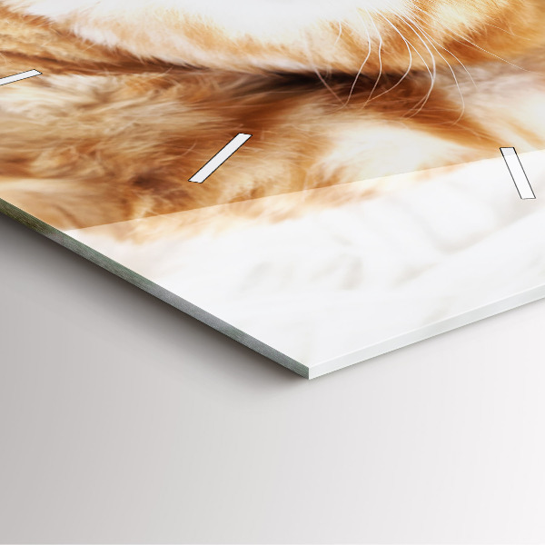 Square wall clock Sleeping little kitten