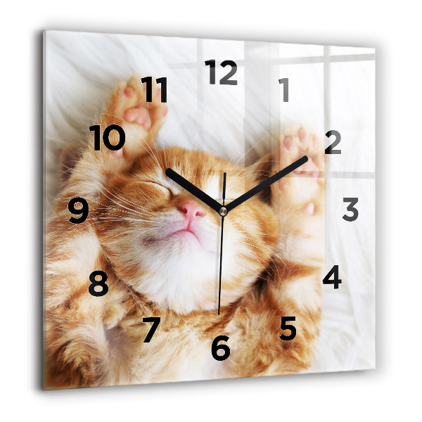 Square wall clock Sleeping little kitten