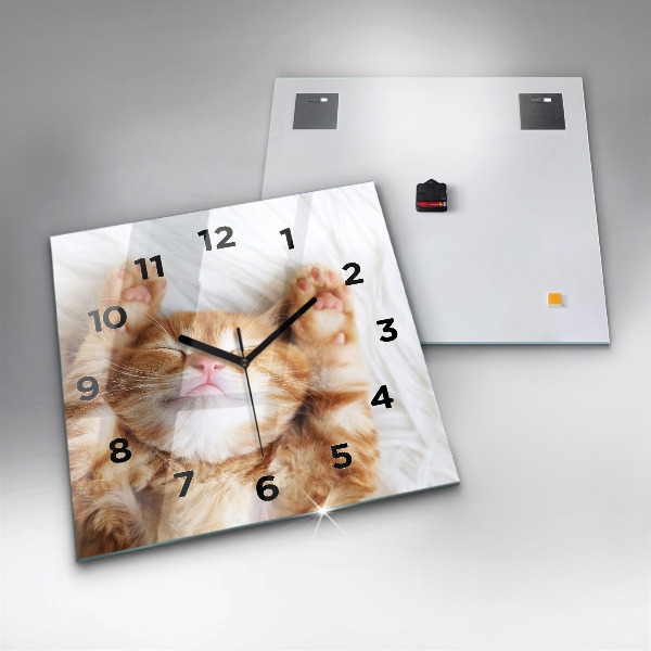 Square wall clock Sleeping little kitten