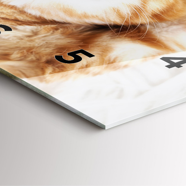 Square wall clock Sleeping little kitten