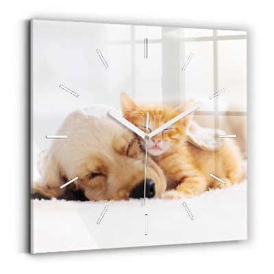 Square wall clock Sleeping cat and dog