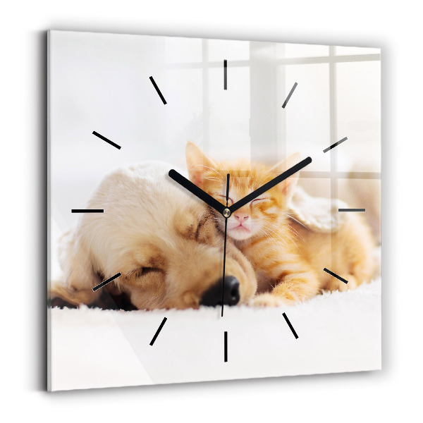 Square wall clock Sleeping cat and dog