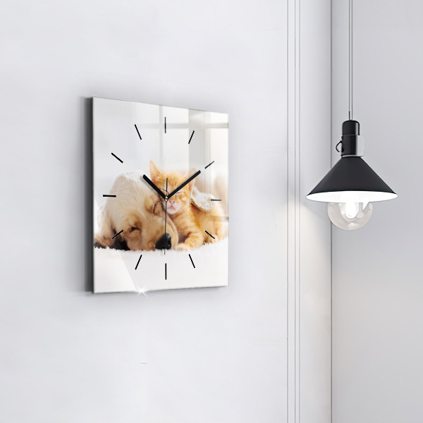 Square wall clock Sleeping cat and dog