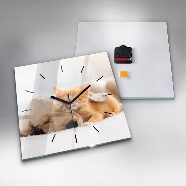 Square wall clock Sleeping cat and dog