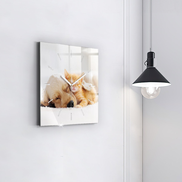 Square wall clock Sleeping cat and dog