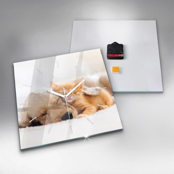 Square wall clock Sleeping cat and dog