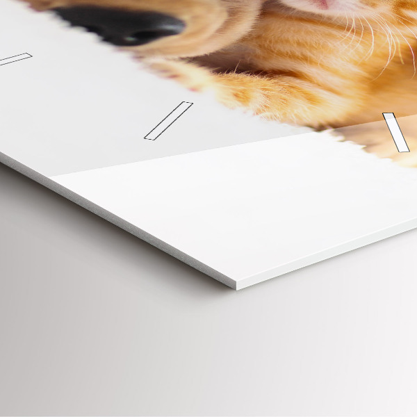 Square wall clock Sleeping cat and dog