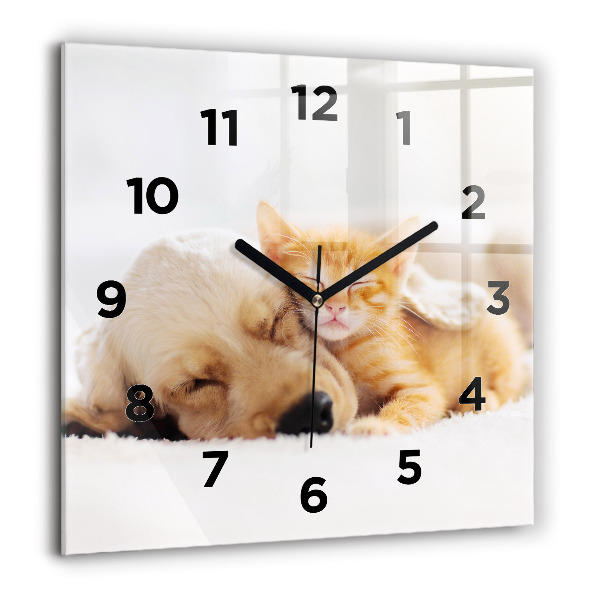 Square wall clock Sleeping cat and dog