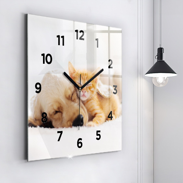 Square wall clock Sleeping cat and dog