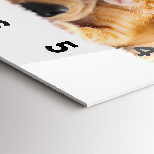 Square wall clock Sleeping cat and dog