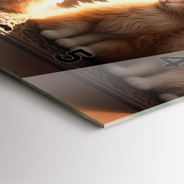 Square wall clock Four Kittens in the Sun