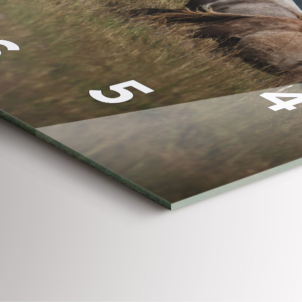 Square wall clock Horses at a gallop