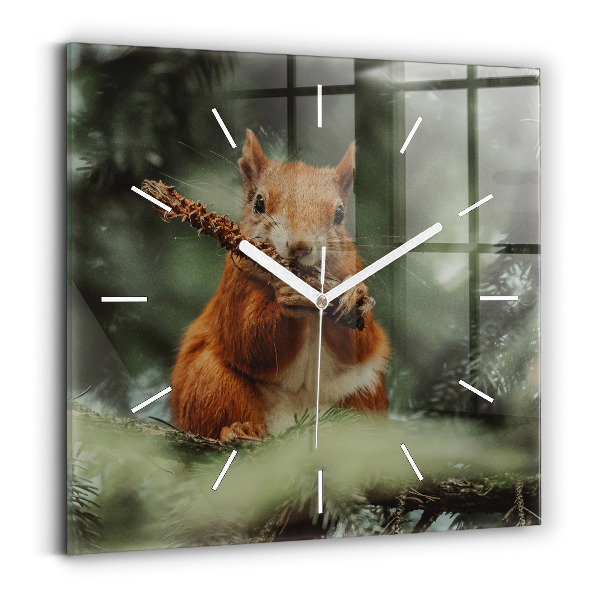 Square wall clock Squirrel and wild nature