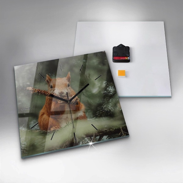 Square wall clock Squirrel and wild nature