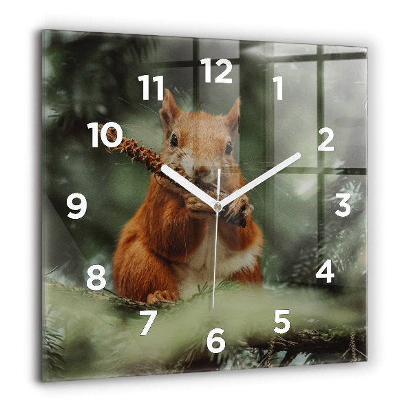 Square wall clock Squirrel and wild nature