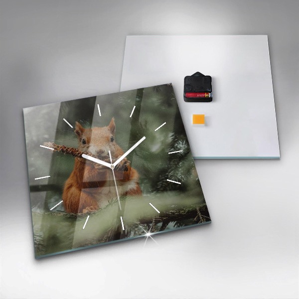 Square wall clock Squirrel and wild nature
