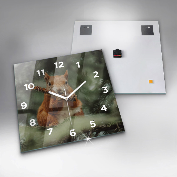 Square wall clock Squirrel and wild nature
