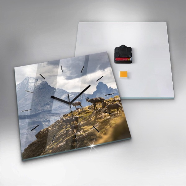 Square wall clock Goat in the Aosta Valley