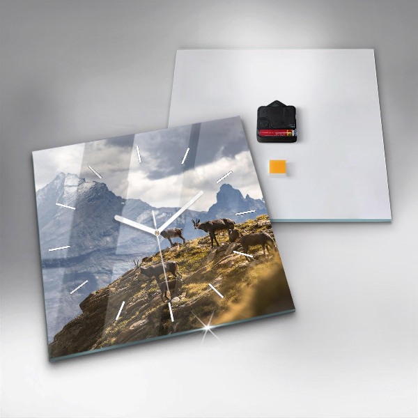 Square wall clock Goat in the Aosta Valley