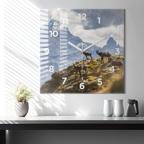Square wall clock Goat in the Aosta Valley