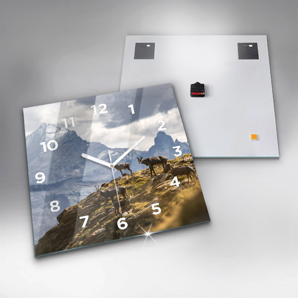 Square wall clock Goat in the Aosta Valley