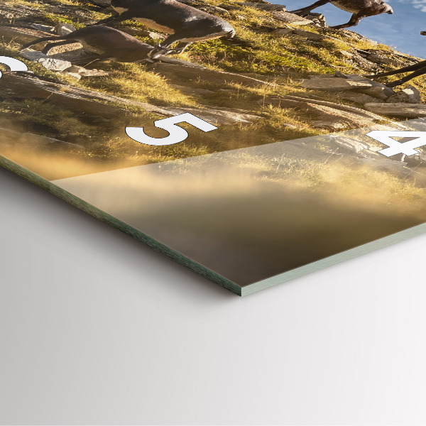 Square wall clock Goat in the Aosta Valley