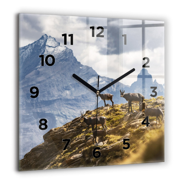 Square wall clock Goat in the Aosta Valley