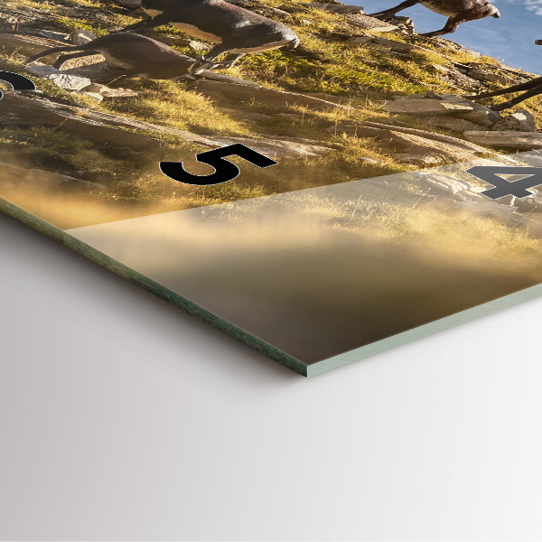 Square wall clock Goat in the Aosta Valley