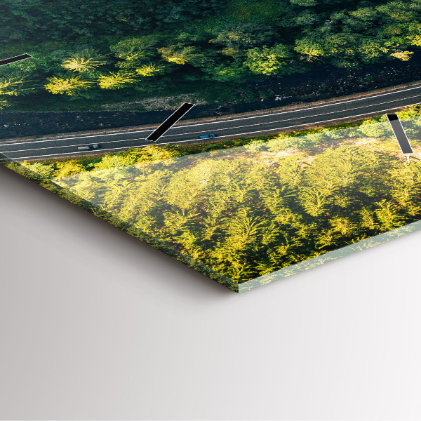 Square wall clock Forest from a bird's eye view