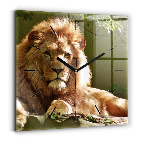 Square wall clock Portrait of a Lion