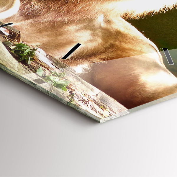 Square wall clock Portrait of a Lion