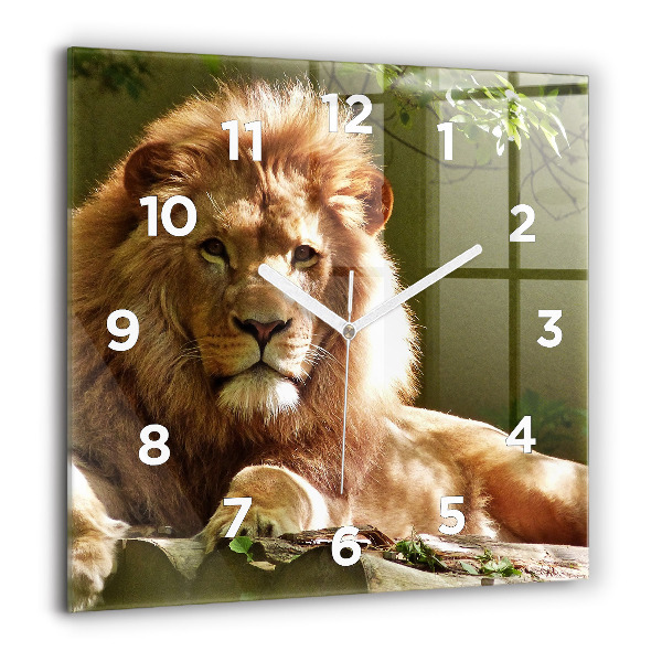 Square wall clock Portrait of a Lion