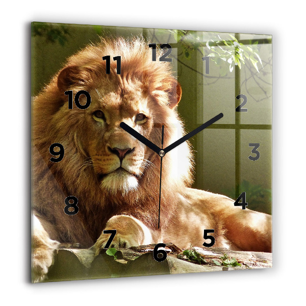 Square wall clock Portrait of a Lion