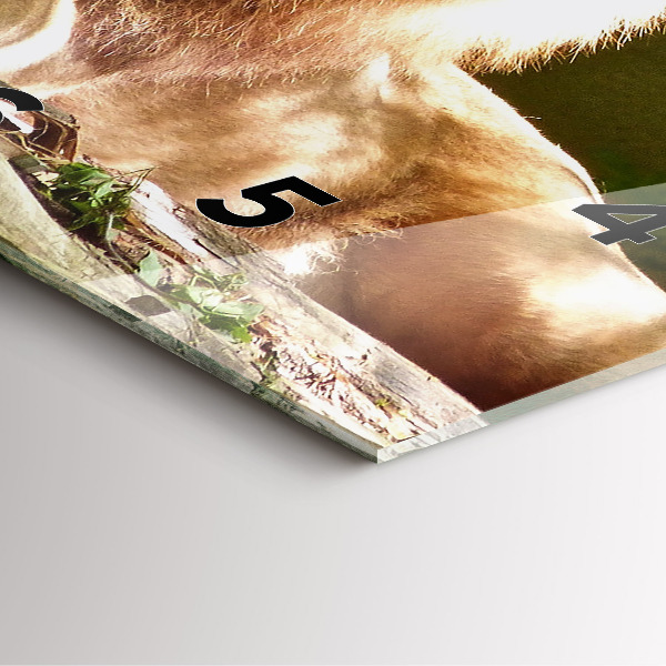 Square wall clock Portrait of a Lion