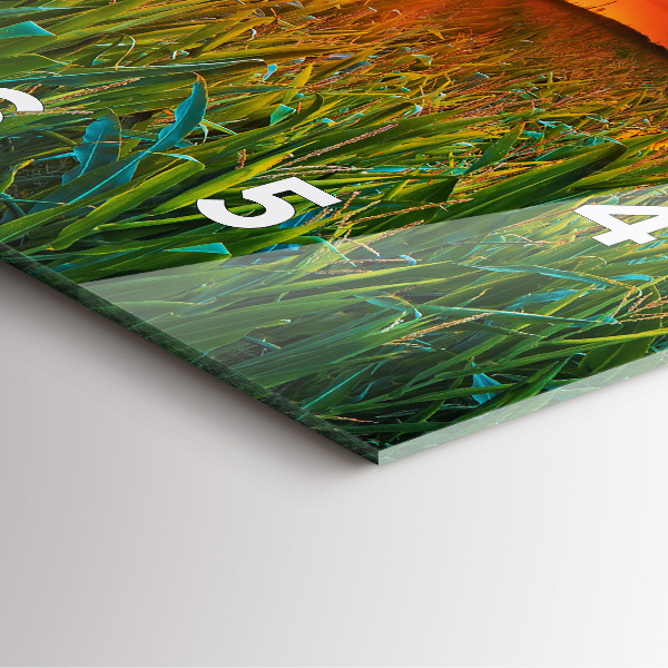 Square wall clock Sunflowers in the meadow