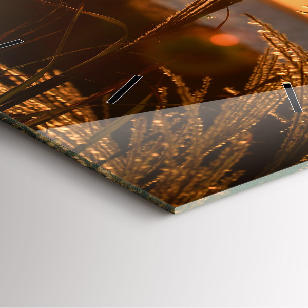 Square wall clock Wheat in the golden sun