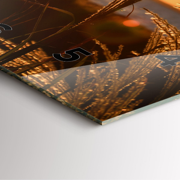 Square wall clock Wheat in the golden sun