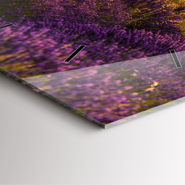 Square wall clock Lavender meadow France