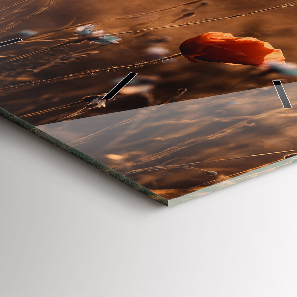 Square wall clock Field sunrise