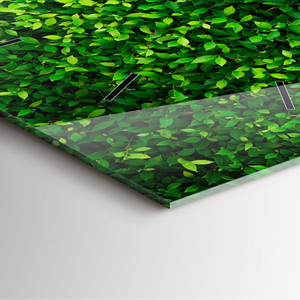 Square wall clock Hedge leaves