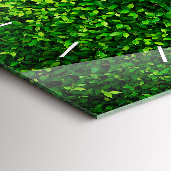 Square wall clock Hedge leaves