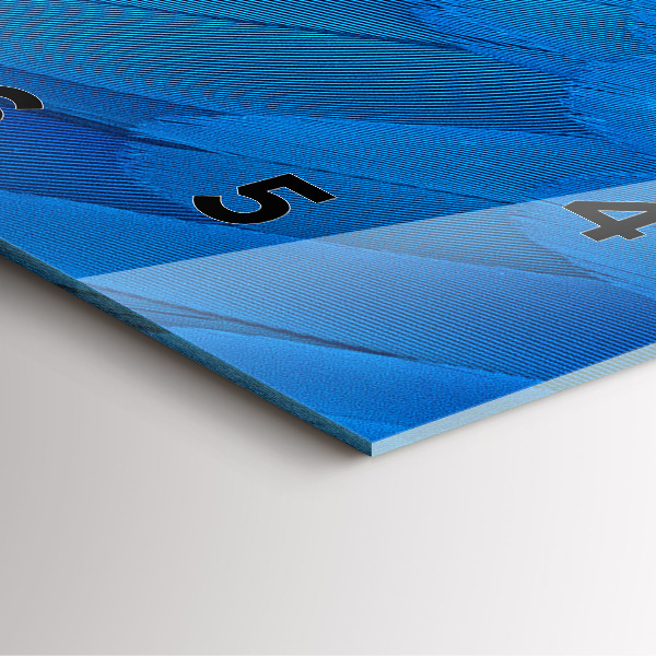 Square wall clock Bird feather