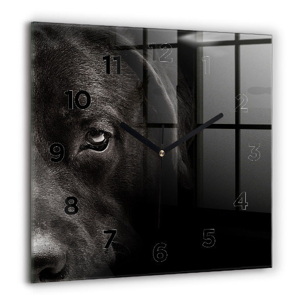 Square wall clock Scottish Fold Dog and Cat