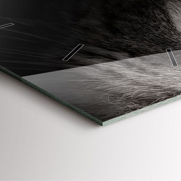 Square wall clock Scottish Fold Dog and Cat