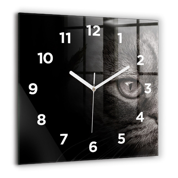 Square wall clock Scottish Fold Dog and Cat