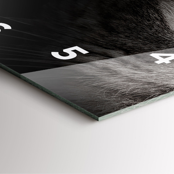 Square wall clock Scottish Fold Dog and Cat