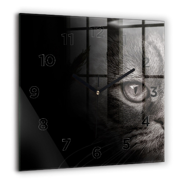 Square wall clock Scottish Fold Dog and Cat