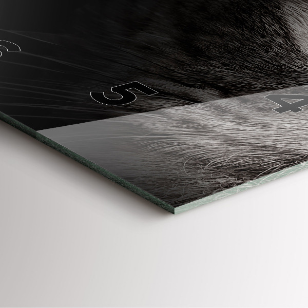 Square wall clock Scottish Fold Dog and Cat