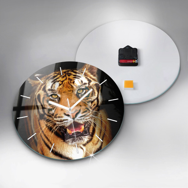 Round glass wall clock Tiger - wild look